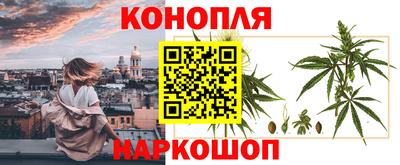 молекула духа Партизанск
