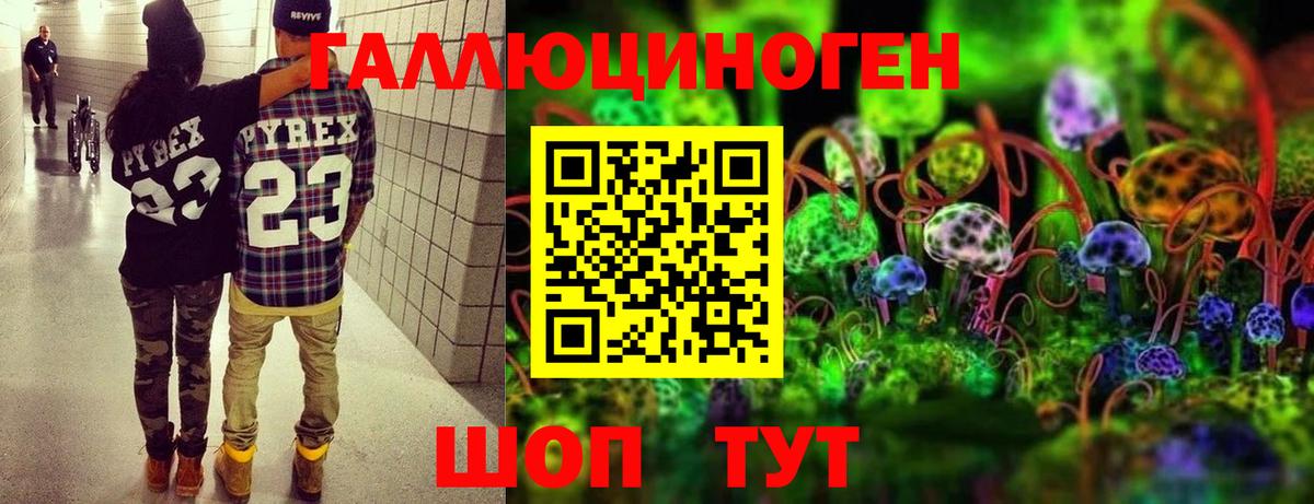 Галлюциногенные грибы мицелий  Псилоцибиновые грибы Cubensis  Вход с VPN  Саранск 